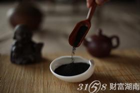 千年养生智慧，一茶融汇古今——福音山养生茶演绎东方养生之道